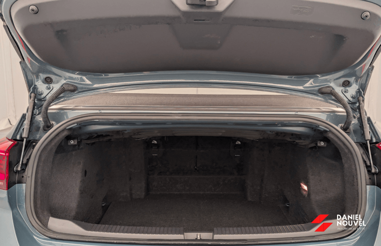 Lounge 1.0 TSI 110ch