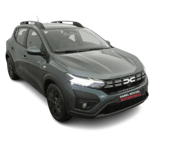 Stepway Expression ECO-G 100